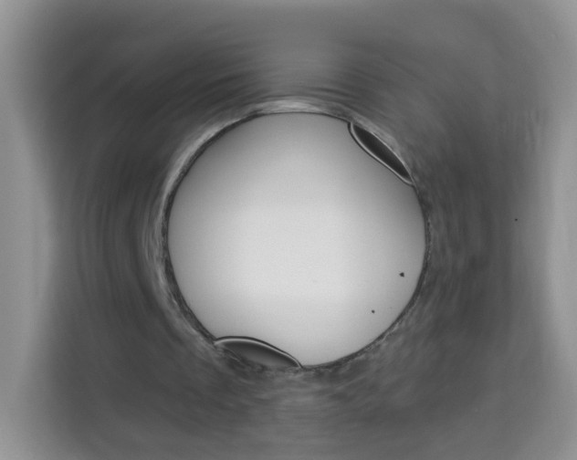 X0000114210289200910091034