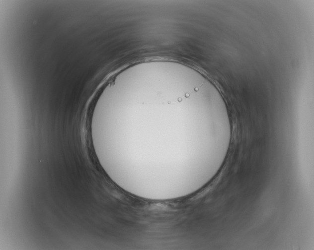X0000114210290200910091034