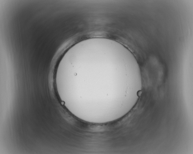 X0000114210293200910091034