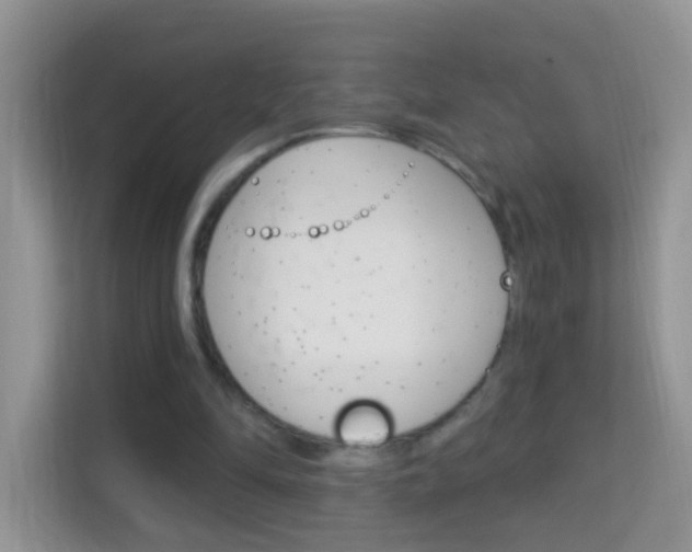 X0000114210294200910091034