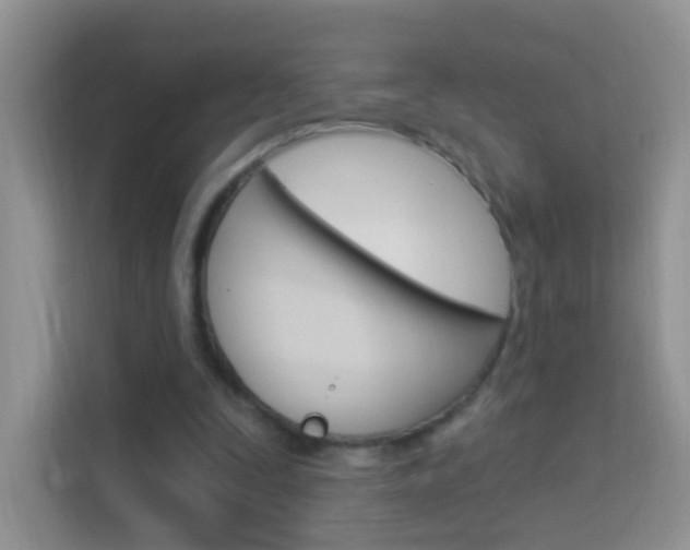 X0000114210295200910091034