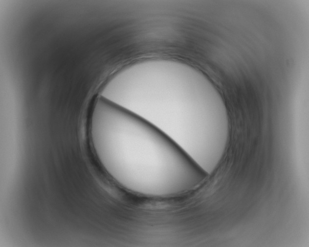 X0000114210299200910091034