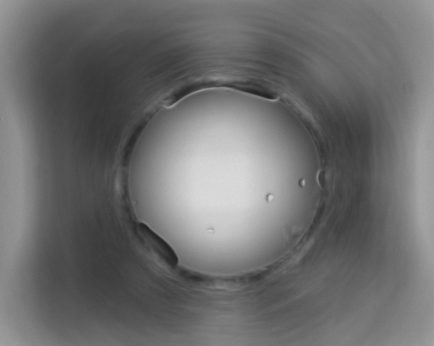 X0000114210305200910091034