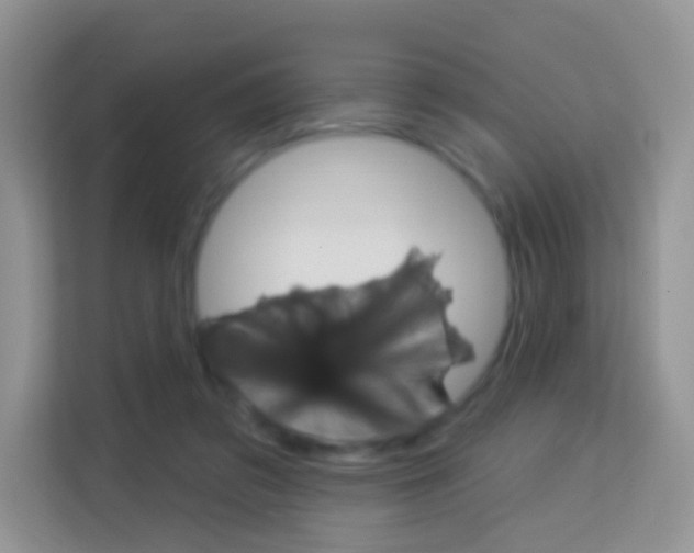 X0000114210309200910091034