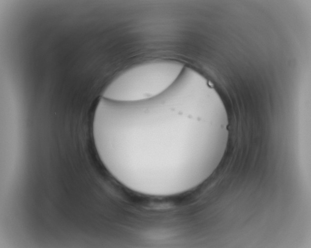 X0000114210311200910091034