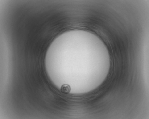 X0000114210316200910091034