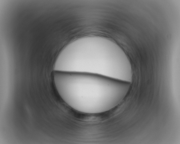 X0000114210319200910091034