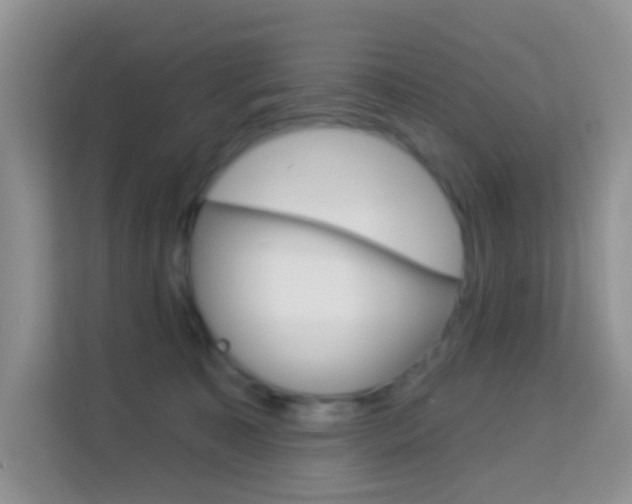 X0000114210323200910091034