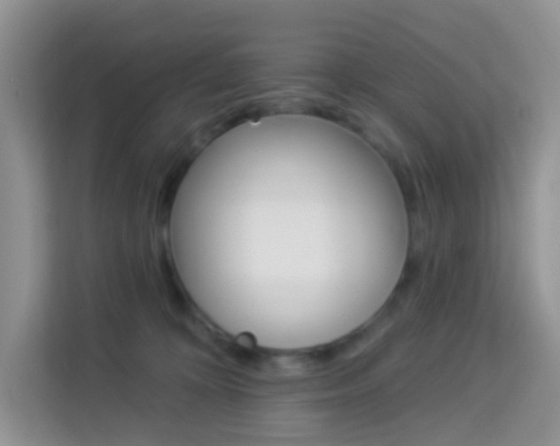 X0000114210324200910091034