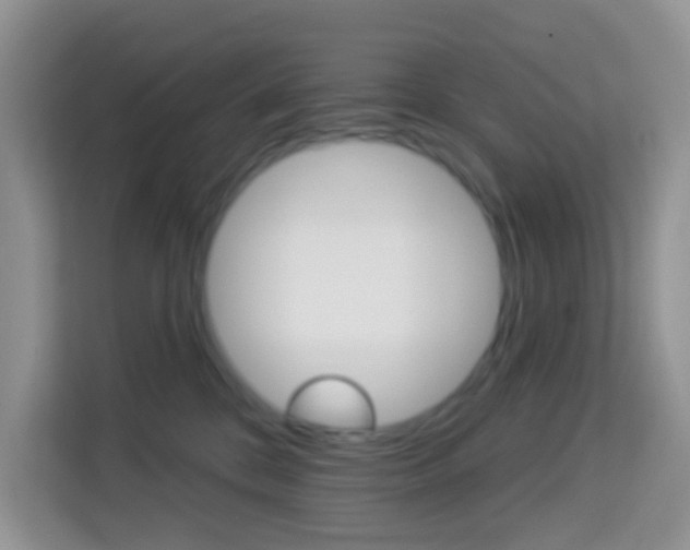 X0000114210328200910091034