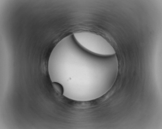 X0000114210329200910091034