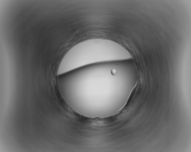 X0000114210332200910091034