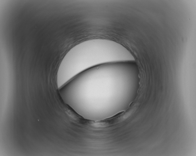X0000114210336200910091034