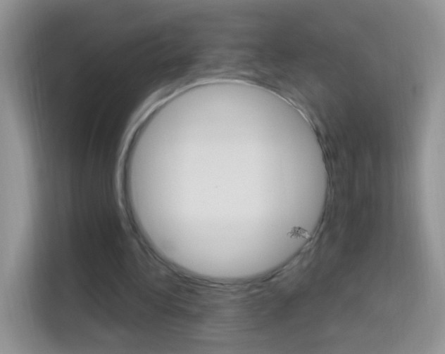 X0000114210340200910091033