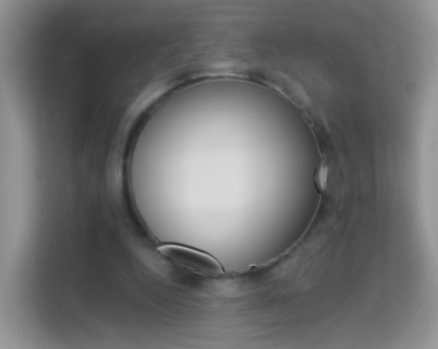 X0000114210344200910091033