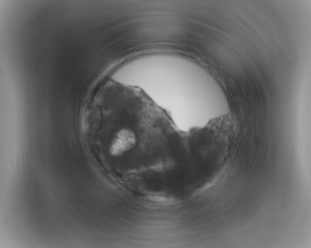 X0000114210347200910091033