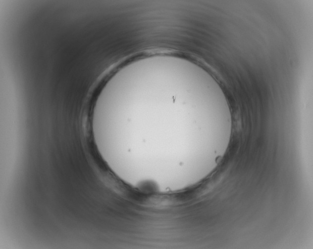 X0000114210351200910091033