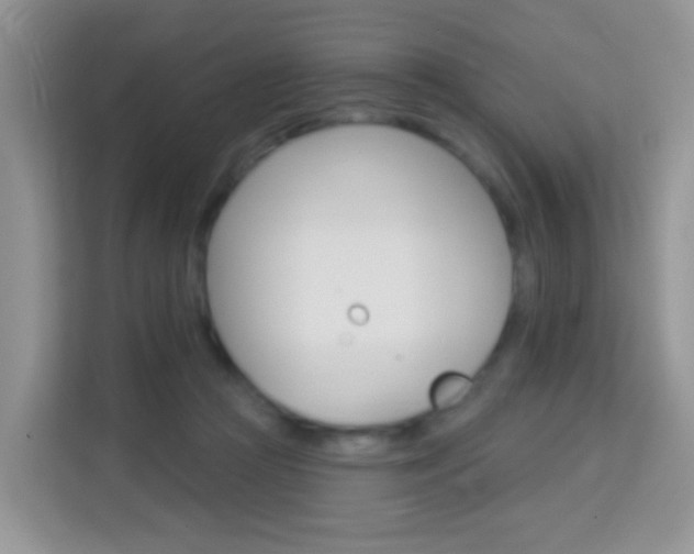 X0000114210361200910091033