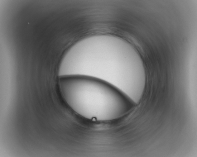 X0000114210362200910091033