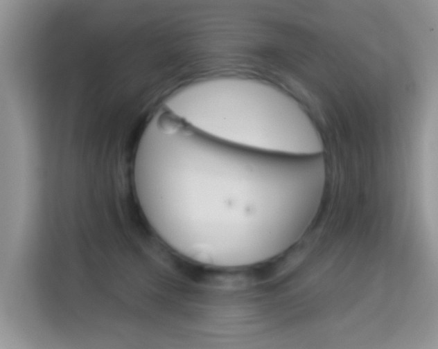 X0000114210366200910091033