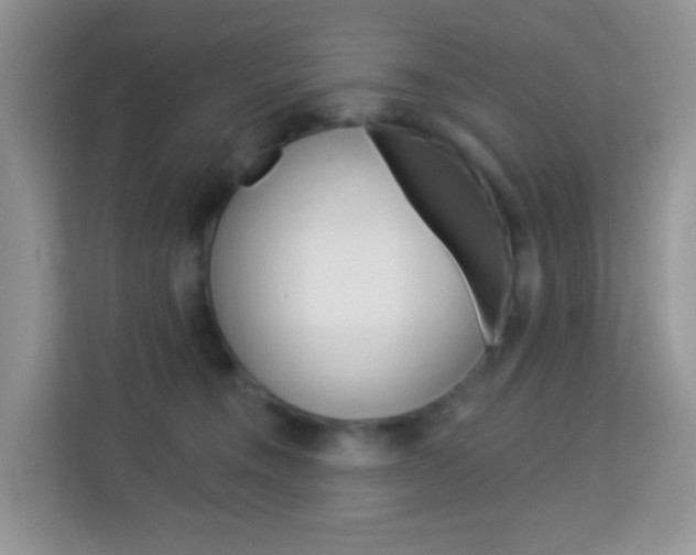 X0000114210372200910091033