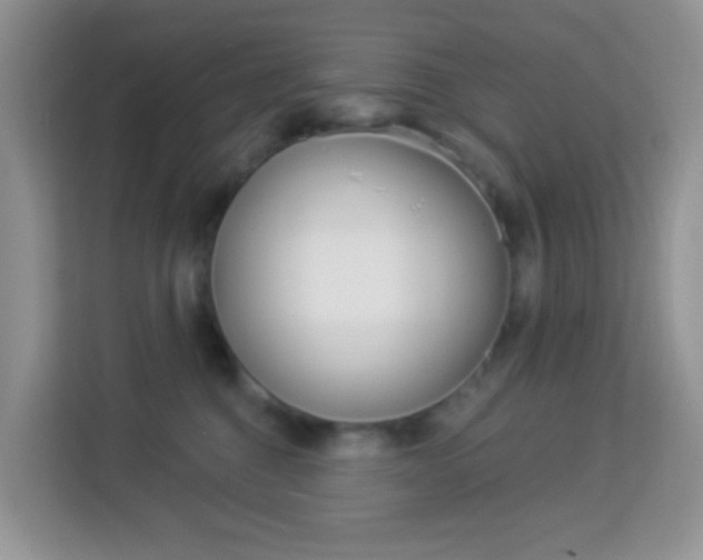 X0000114210376200910091033