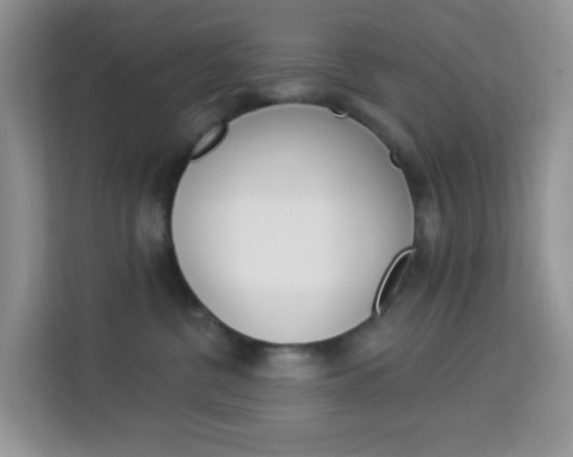 X0000114210380200910091033