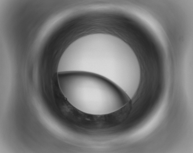 X0000114210382200910091033