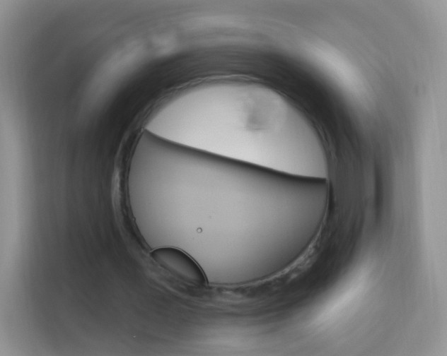 X0000114210387200910091033