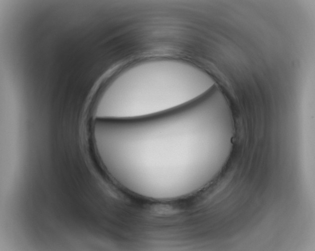 X0000114210392200910091033