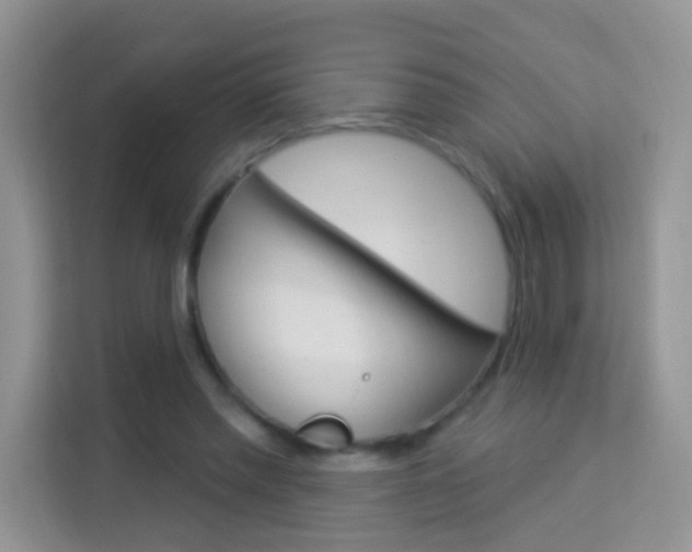 X0000114210397200910091033