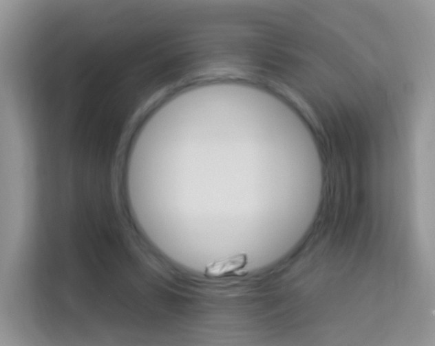 X0000114210399200910091033