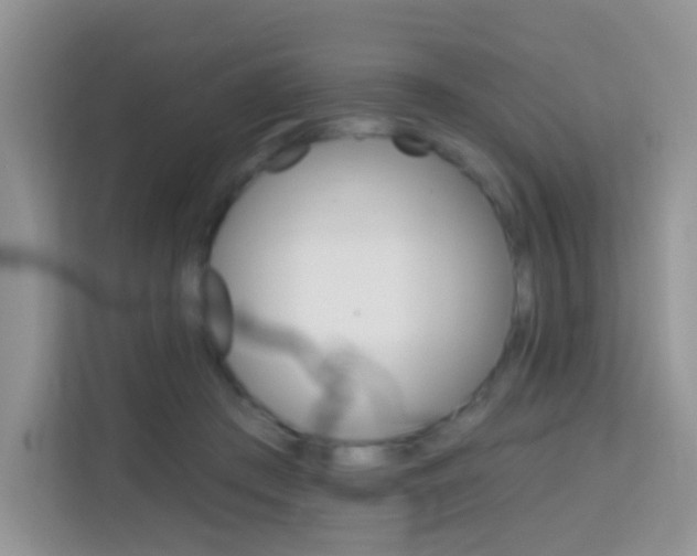 X0000114210409200910091033