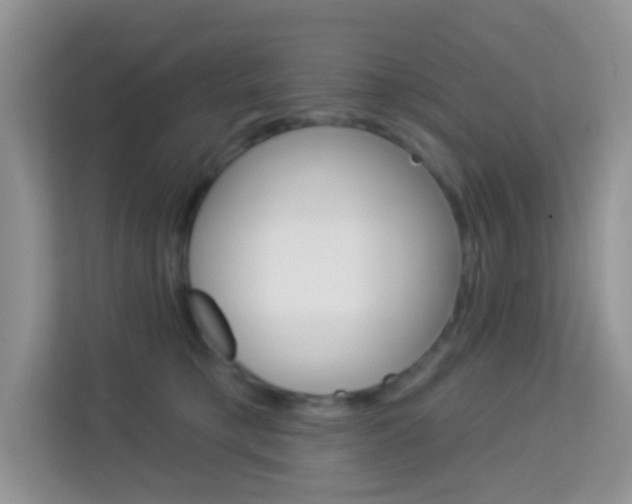 X0000114210421200910091032