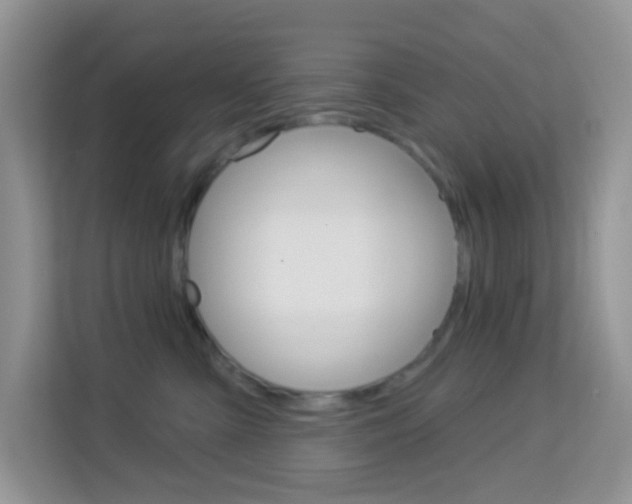 X0000114210427200910091032