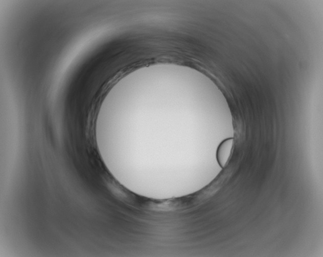 X0000114210430200910091032