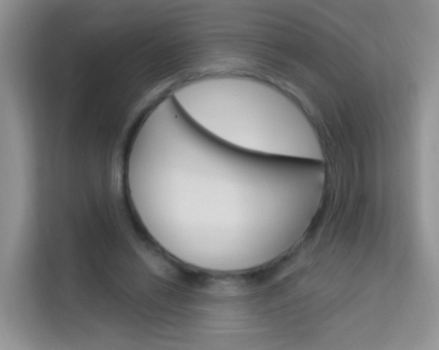 X0000114210446200910091032