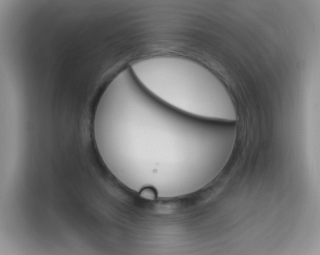 X0000114210450200910091032