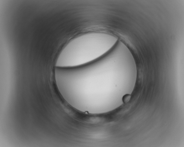 X0000114210453200910091032