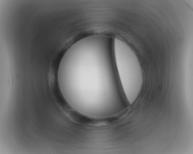 X0000114210456200910091032