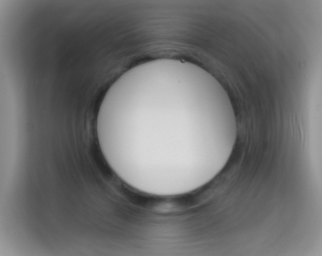 X0000114210460200910091032
