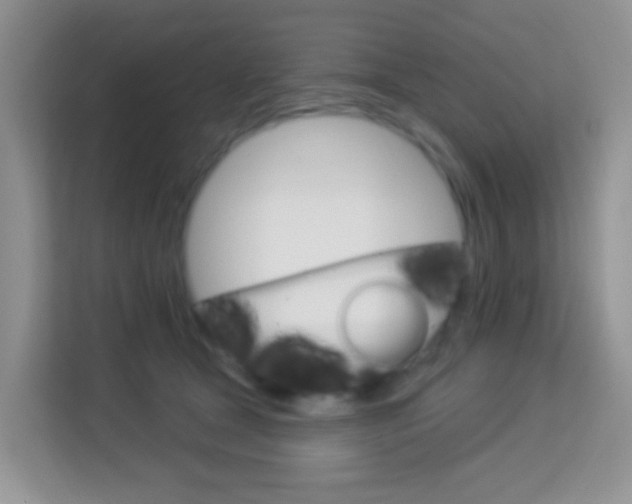 X0000114210465200910091032