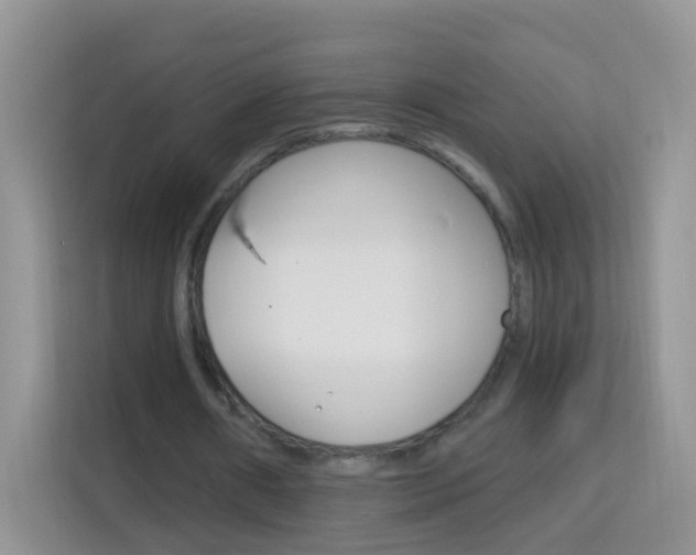 X0000114210482200910091032