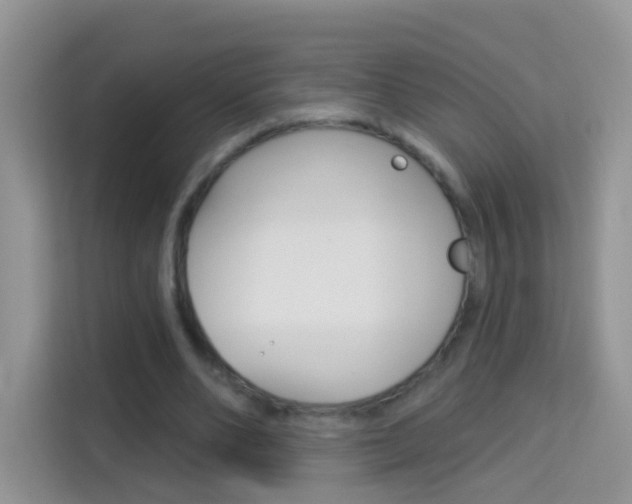 X0000114210486200910091032