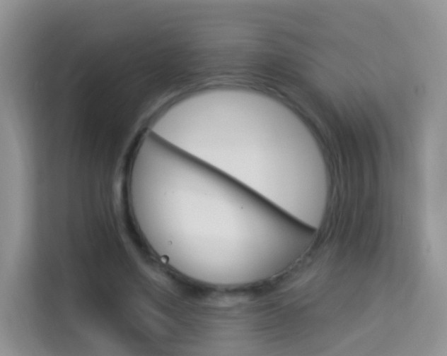 X0000114210491200910091032
