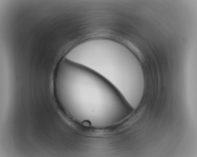 X0000114210493200910091031