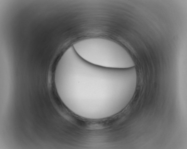 X0000114210494200910091031