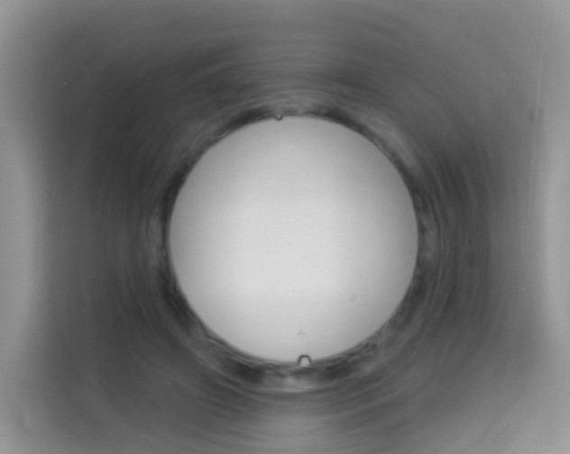 X0000114210498200910091031