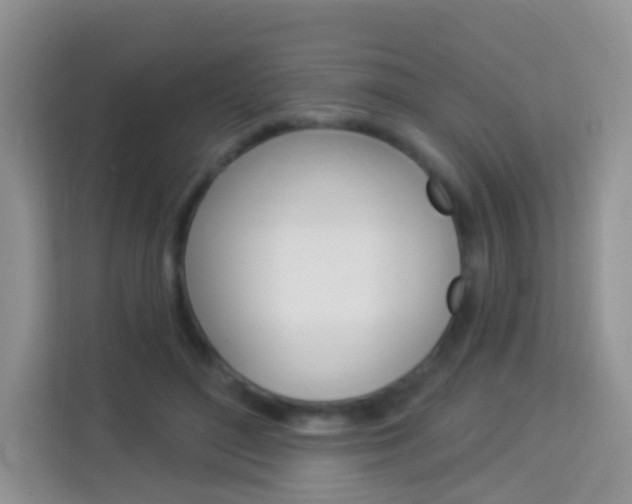 X0000114210500200910091031