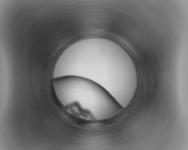 X0000114210501200910091031